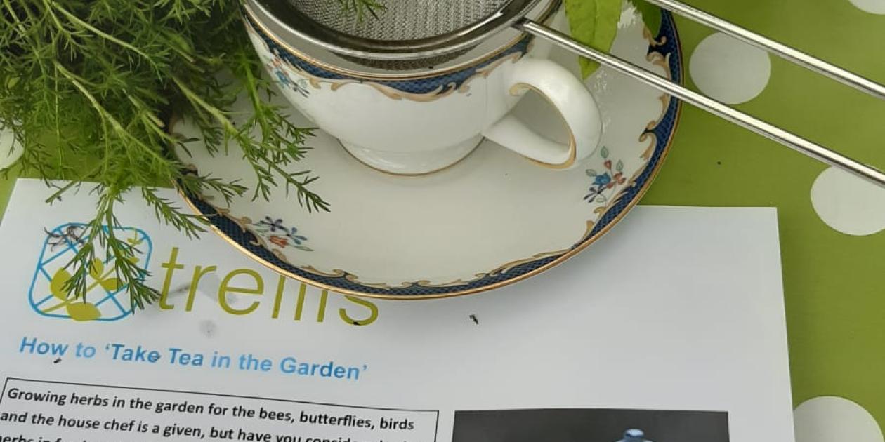 Ayrshire Cancer Support Session 2024