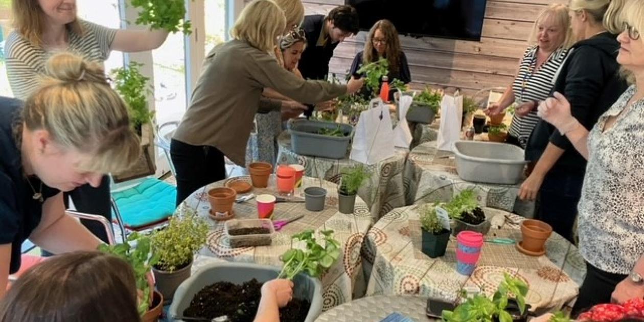 Group of people looking at herbs