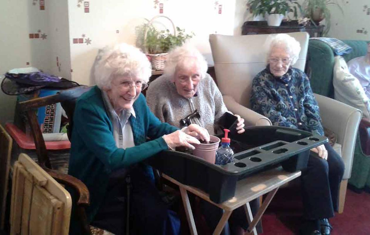 Gardening in a care home
