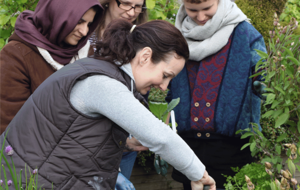 group of women gardening