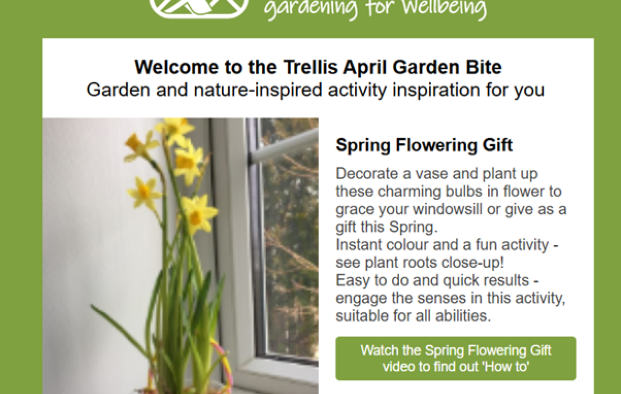 Trellis Scotland Newsletter