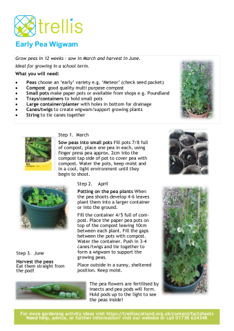 fs_early_peas_factsheet.pdf