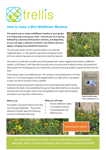 how-to-make-a-mini-wildflower-meadow.pdf