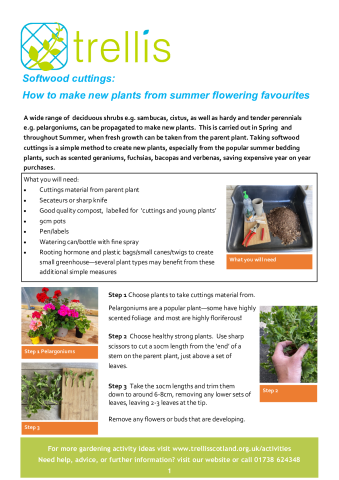 softwood-cuttings.pdf