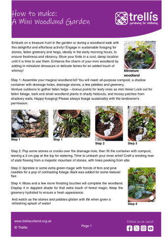how-to-make-a-mini-woodland-garden.pdf