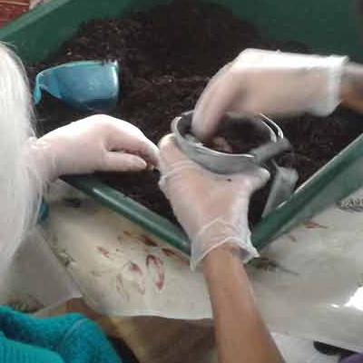 gardening in a care home